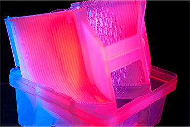 packaging photo