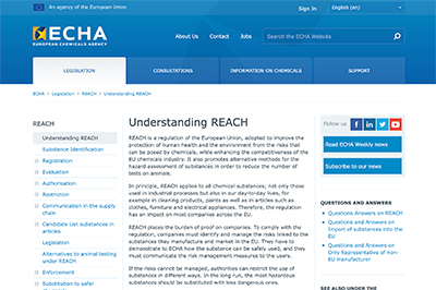 website screen image